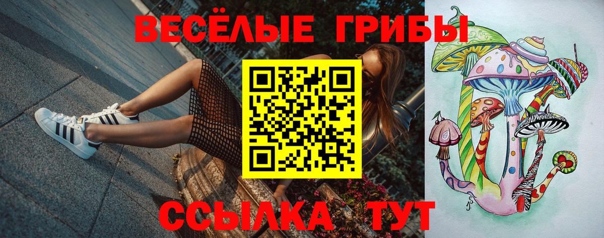 Псилоцибиновые грибы мицелий  Вход с VPN  Клинцы 